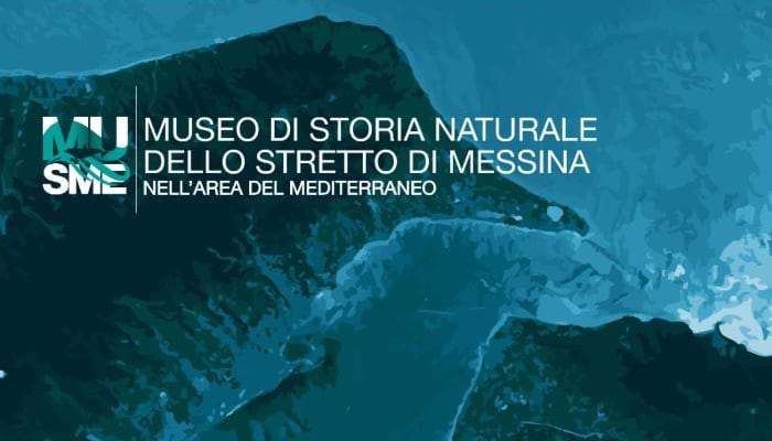 musme-museo-mare-messina-visitme